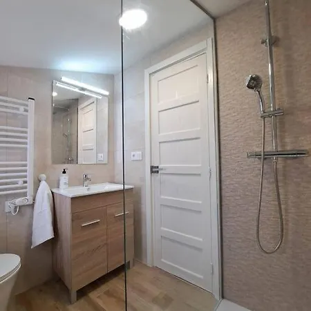 Atico Porta De Santiago - Junto Catedral - Vut-lu-02906 * Lugo