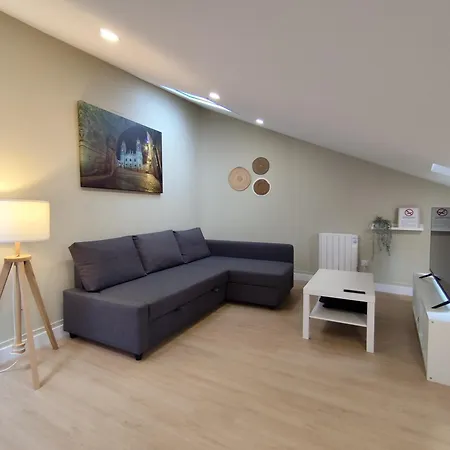 Atico Porta De Santiago - Junto Catedral - Vut-lu-02906 Apartment *