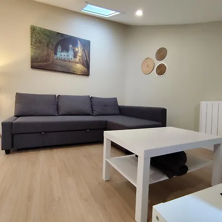 Atico Porta De Santiago - Junto Catedral - Vut-lu-02906 Apartment
